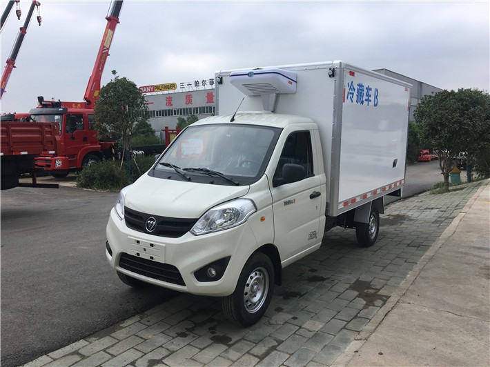 FOTON 2000kg 3000kg Cold Chain Fridge Body Van Truck