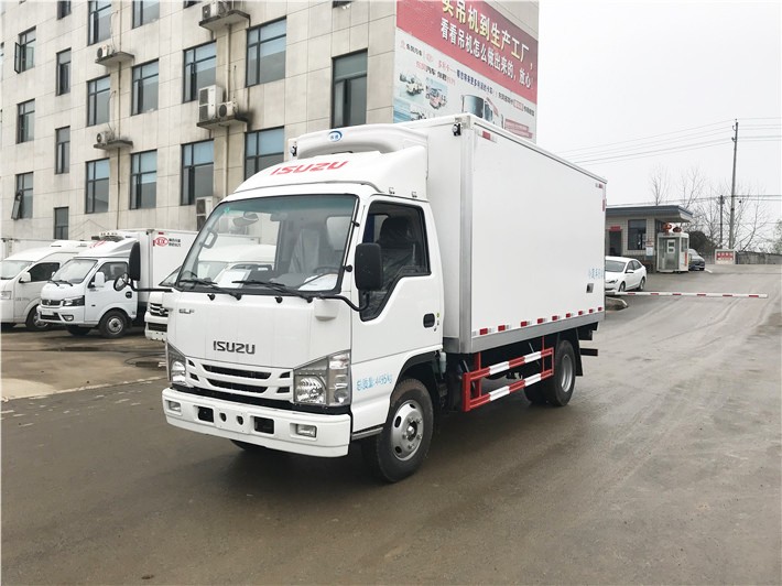 ISUZU 100P 6 Wheeler Vegetable Transport Freezer Refrigerated Truck