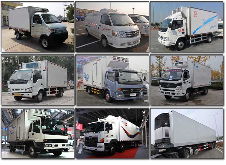 Foton Forland 3 ton Cold Chain Refrigerated Transport Vehicle