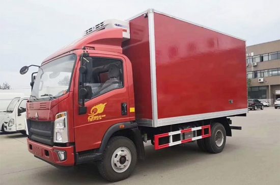 HOWO 5ton Small Thermo King Freezing Cold Delivery Truck